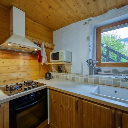 View On Vanoise Mountain - 3 Bedrooms 70m2 Cevins