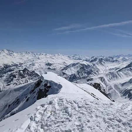 View On Vanoise Mountain - 3 Bedrooms 70m2 Cevins