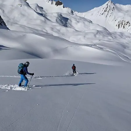 View On Vanoise Mountain - 3 Bedrooms 70m2 Cevins
